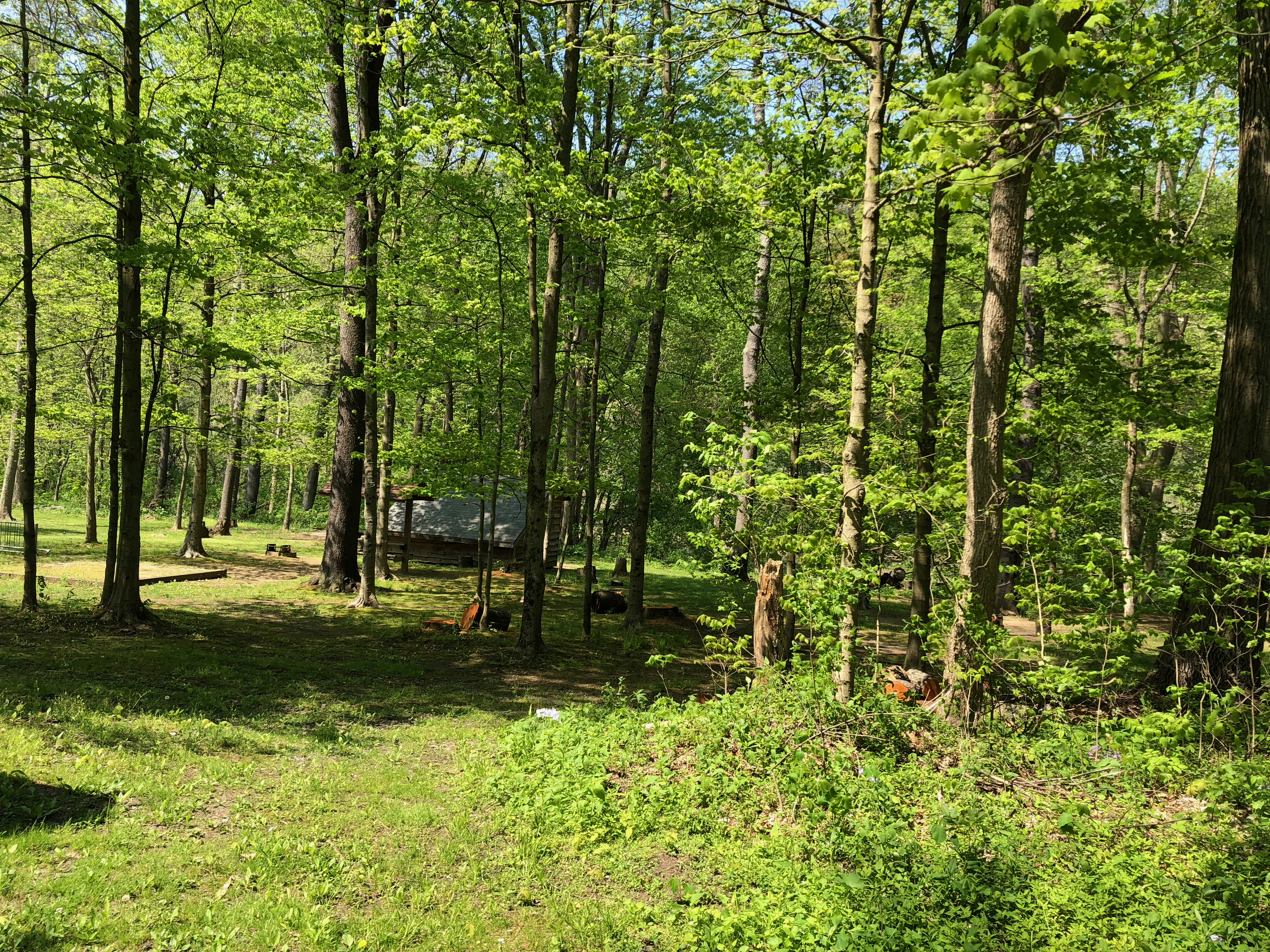 Blog 2018 Allegheny Gap