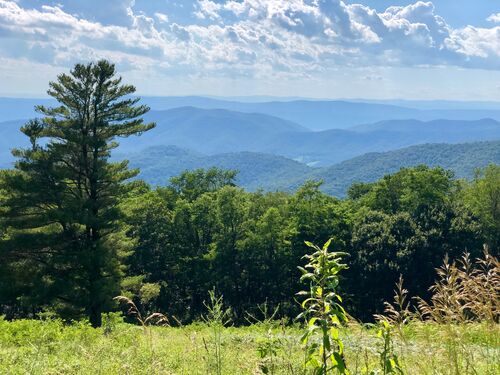 Blog 2019 Backroads