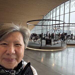 Bicycle display at the Ferry Terminal