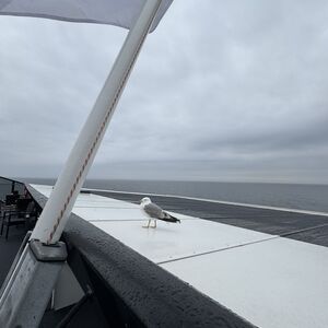 Crossing the Gulf of Finland