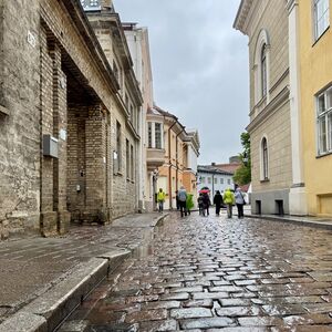Cobblestones