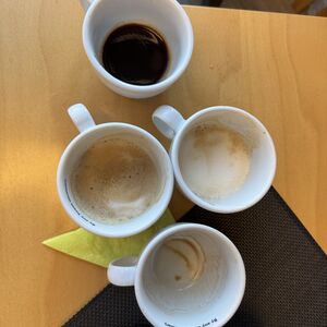 Amy's search for the perfect cup