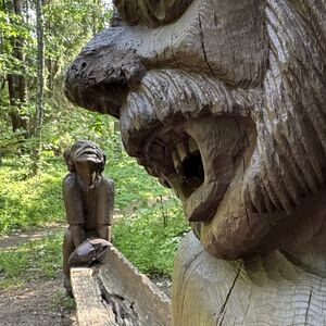 The carvings in this forest are amazing