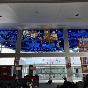 The constellations!