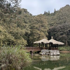 Two Sisters Pond