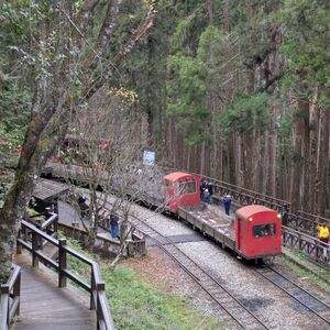 Worker-bee trains